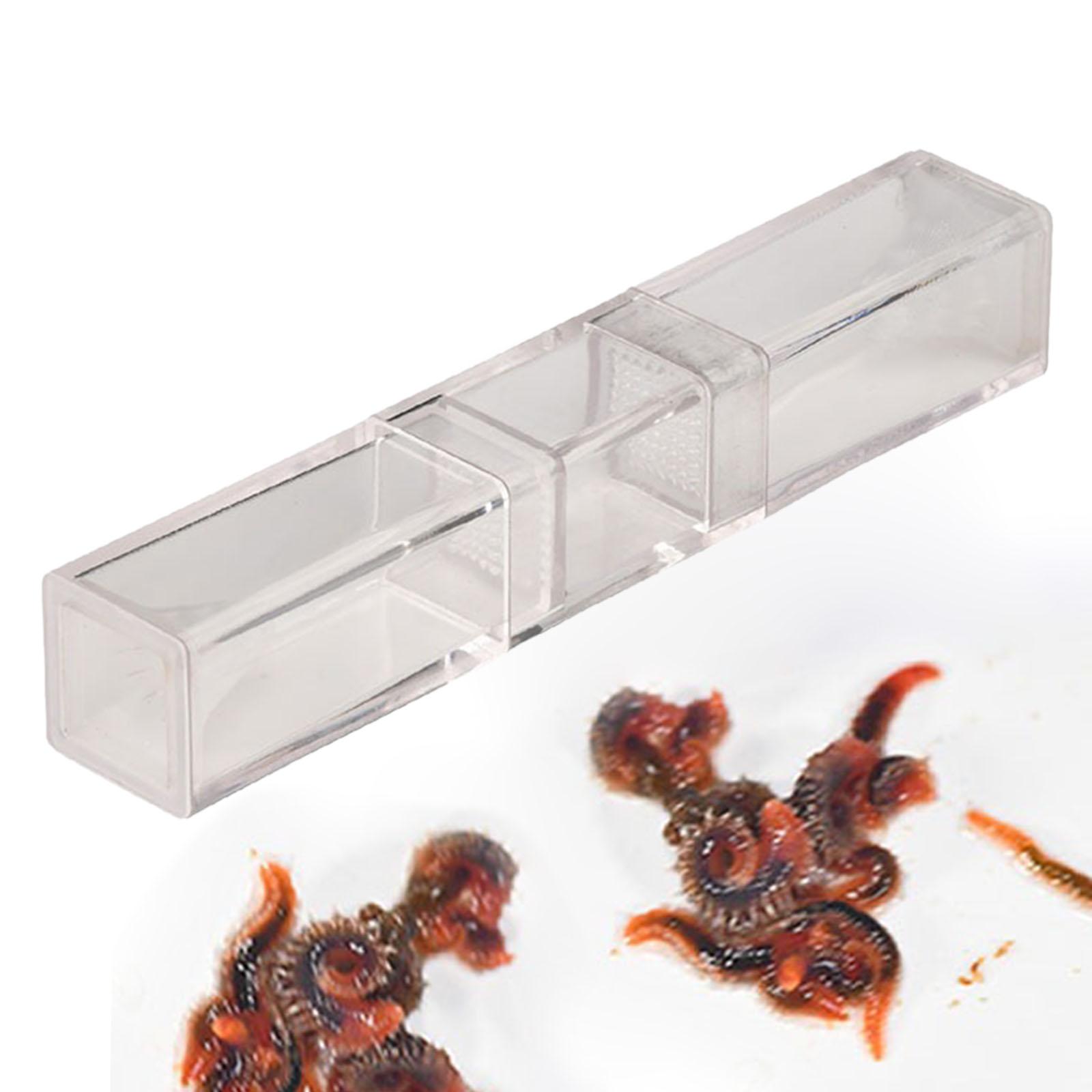 Marine Aquarium Worms - حوض السمك بلاناريا الماسك لخزانات الروبيان