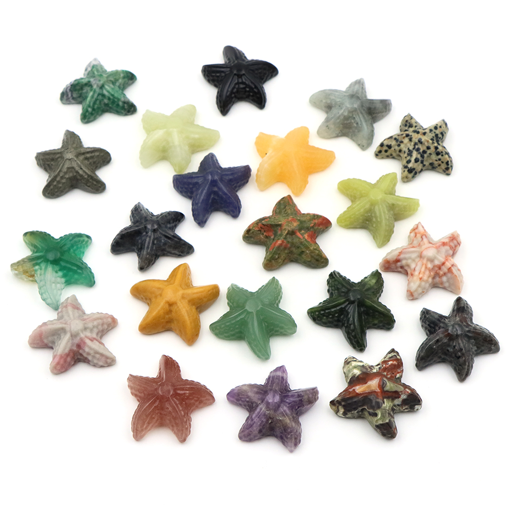 35 مللي متر نجم البحر شكل تمثا - مراجعة Aquarium Marine وسعره