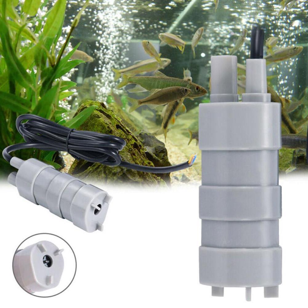 مضخة غاطسة RV 12V، تدفق عالي 1 - مراجعة Aquarium & Marine Museum Universiti Malaysia Sabah Kota Kinabalu Sabah Reviews وسعره