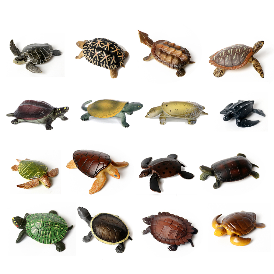 نموذج سلحفاة بحرية للحياة البح - مراجعة Aquarium Marine وسعره