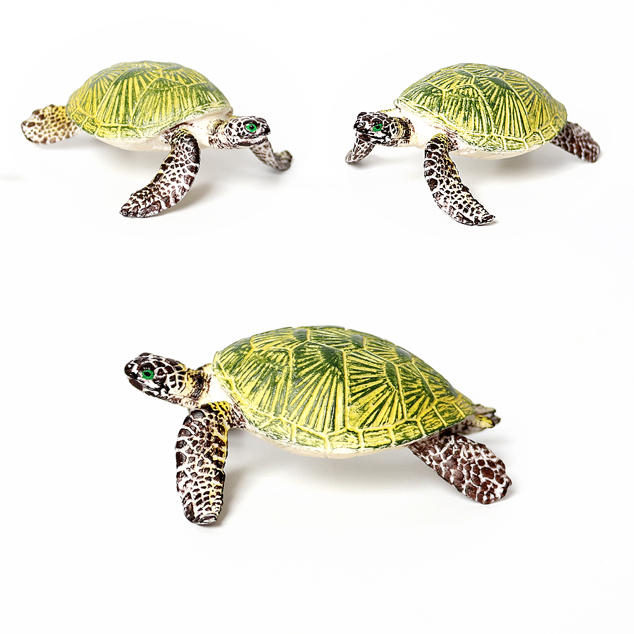 نموذج سلحفاة بحرية للحياة البح - مراجعة Aquarium Marine وسعره